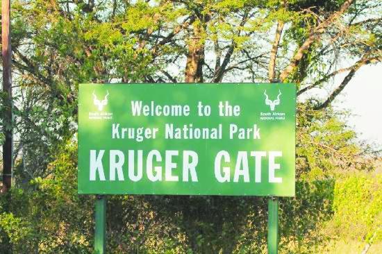 هازيفيو Kruger Park Lodge, Kubu Lodge 224 المظهر الخارجي الصورة
